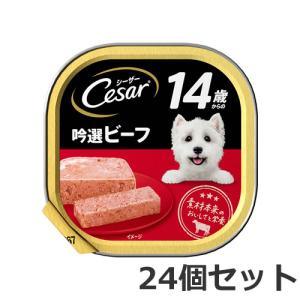 ★【今月のお買い得商品】24個セット マース 14歳からのシーザー吟選ビーフ 100g×24個セット｜petsmum