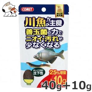 イトスイ 川魚の主食納豆菌 40gの詳細画像1