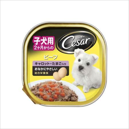 ★【今月のお買い得商品】マース シーザー 2ヶ月からの子犬用 ビーフ キャロット たまご入り 100...