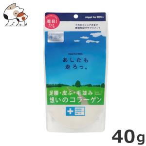 【メール便】ニッピ あしたも走ろっ。 犬用健康補助食 40g サプリメント ふりかけ 粉末 犬用 国産【牛由来】