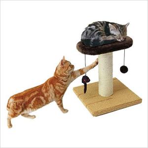 ○B-blast キャットホイール ビーブラスト 猫用品 おもちゃ 運動 爪