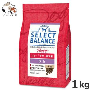 ベッツ・チョイス セレクトバランス パピー ラム小粒 1kg｜petsmum