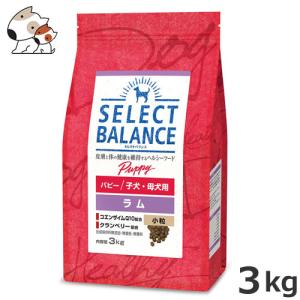 V*3様 SELECT BALANCE ドッグフード 15kg SELECT BALANCE セレクトバランス アダルト チキン3kg 小粒 犬