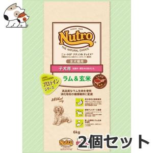 2個セット ニュートロ ナチュラルチョイス ラム＆玄米 子犬用 全犬種用 6kg×2個セット｜petsmum