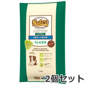 ニュートロ ナチュラルチョイス ラム＆玄米 子犬用 全犬種用 3kg