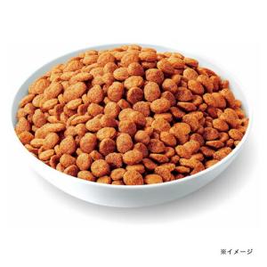 いなば すごい乳酸菌 クランキー ビーフ味 1...の詳細画像2