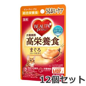 日本ペットフード ビューティープロ キャット パウチ 介護期用 高栄養