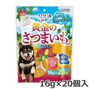 PETKISS ライオン 食後の歯みがきガム シニア 超小型犬用 20本(犬