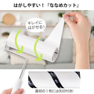 アイリスオーヤマ カーペットクリーナー トルク...の詳細画像2