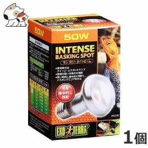 GEX ナイトグロームーンライトランプ 50W : ペッツマム - 通販 - Yahoo