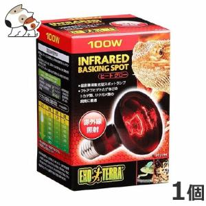 GEX ナイトグロームーンライトランプ 50W : ペッツマム - 通販 - Yahoo