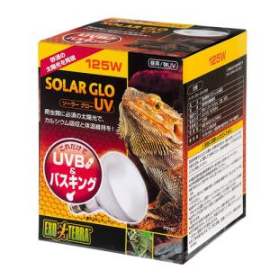 GEX エキゾテラ ソーラーグローUV 125W PT2192 トカゲ バスキングライト 紫外線灯｜petsmum