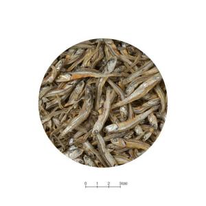 スドー ちょびっと 小粒にぼし 10g ハムス...の詳細画像1
