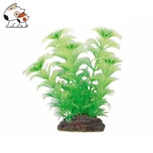 ニッソー アクアティックプランツ M 6 アヤハディオネットショッピング 通販 Yahoo ショッピング