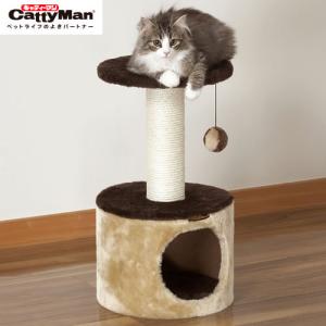 キャティーマン CAT TOWER MANSiON キャットタワーマンション キャット