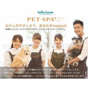 ヒマチーとはの商品一覧 通販 Yahoo ショッピング