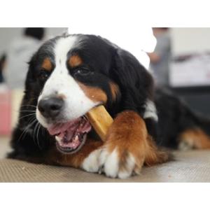 ヒマチーとはの商品一覧 通販 Yahoo ショッピング