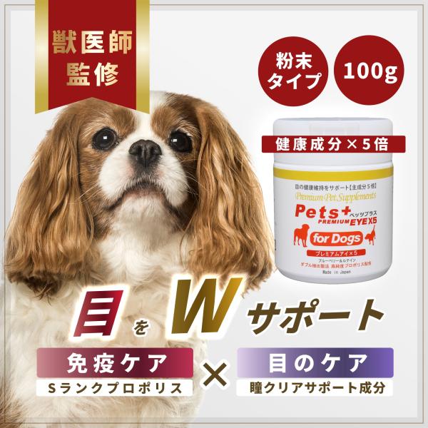 犬 サプリ 目 視力 ケア 健康 シニア 高齢犬 国産 ブルーベリー ルテイン アントシアニン ペッ...