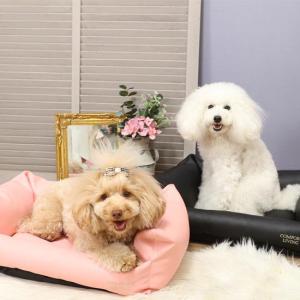 レザーカドラーコンフォートリビング 犬 ベット レザー カドラー｜PETSREPUBLICヤフー店