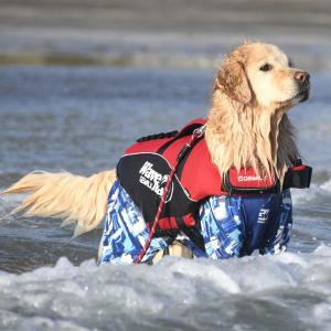 ジウォーク GEWALK ウェーブライダー エコ ライフジャケット 犬用 3XL