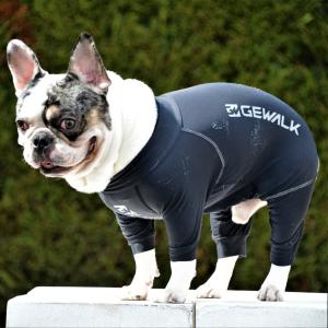 GEWALK　ジウォークマイナス　フリージング　ロンパースDM　BS　犬 いぬ イヌ DOG 服 アウトドア ラッシュガード｜petsrepublic