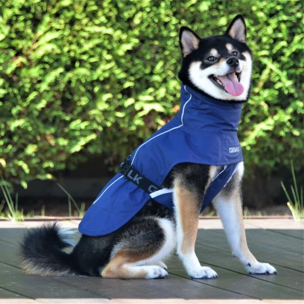 GEWALK ジウォーク　 プロテクト レインコート XL　犬 いぬ イヌ DOG 服 アウトドア