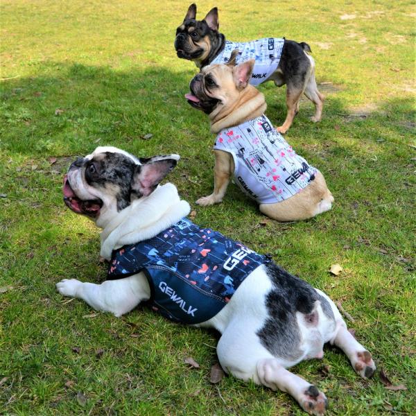 GEWALK　ジウォーククーリングタンクトップDM BS BM犬 いぬ イヌ DOG 服 アウトドア