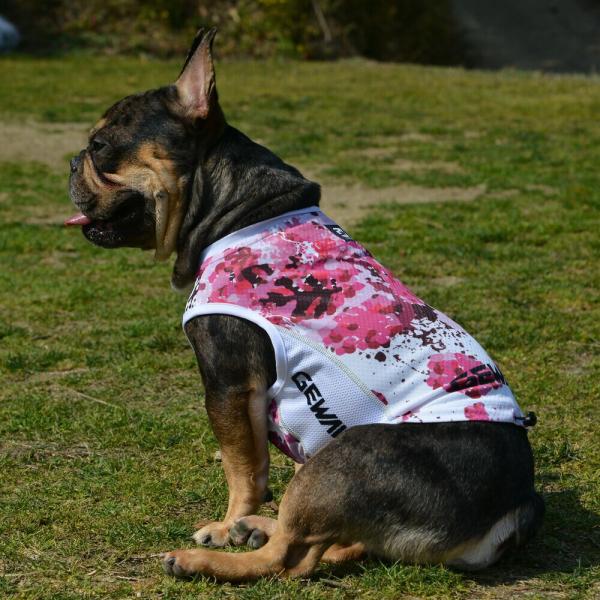 GEWALK　ジウォーククーリングタンクトップDM BS BM犬 いぬ イヌ DOG 服 アウトドア