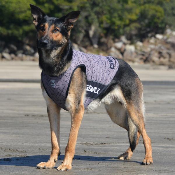 【GEWALK　ジウォーク】LGE527  アクティブ　クーリング　タンクトップ【3XL】犬 いぬ ...