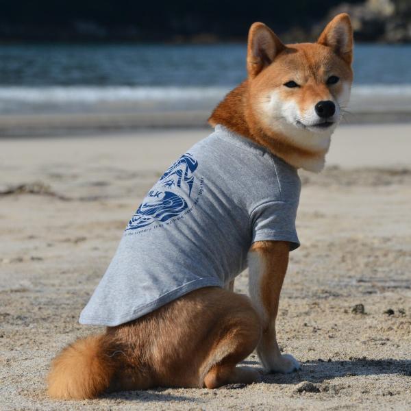 【GEWALK　ジウォーク】５３０ＧＷ　Ｇｒａｐｈｉｃ　Ｔｓｈｉｒｔ　ＷａｖｅTシャツ　アウトドア　...