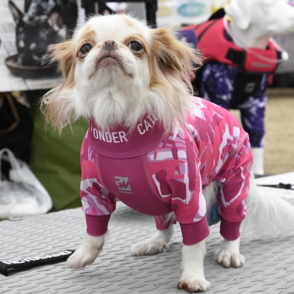 【GEWALK　ジウォーク】LGE531 プロテクト　ストレッチ　ロンパース　ラッシュガード　犬 い...