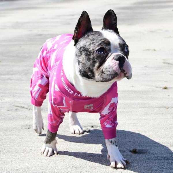 【GEWALK　ジウォーク】LGE531 プロテクト　ストレッチ　ロンパース　ラッシュガード　犬 い...