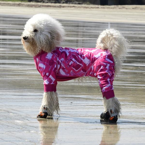 【GEWALK　ジウォーク】LGE531 プロテクト　ストレッチ　ロンパース　ラッシュガード　犬 い...