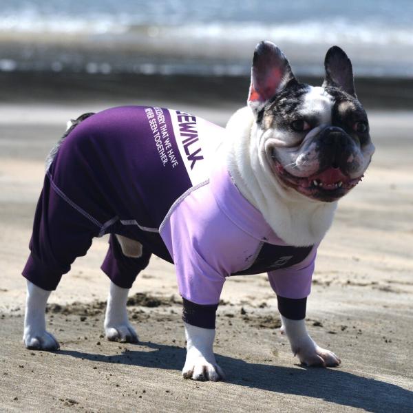 【GEWALK　ジウォーク】 LGE532 プロテクト　ストレッチ　ロンパース 　ラッシュガード　犬...