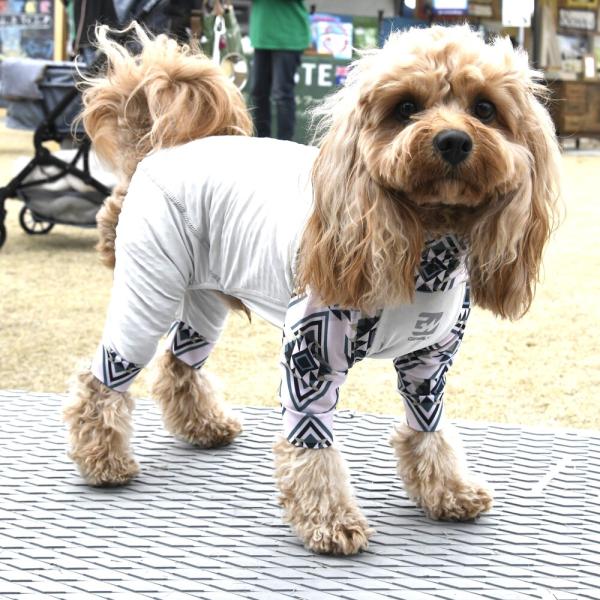 【GEWALK　ジウォーク】LGE534　フリージング　ロンパース　ラッシュガード　犬 いぬ イヌ ...