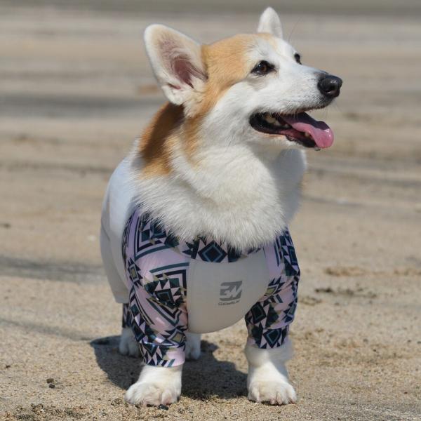 【GEWALK　ジウォーク】LGE534　フリージング　ロンパース　ラッシュガード　犬 いぬ イヌ ...