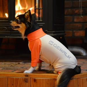 GEWALK ジウォーク光電子　ロンパースXS S M犬 いぬ イヌ DOG 服 アウトドア ラッシュガード｜petsrepublic