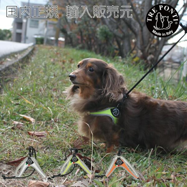 TRE PONTI トレポンティリベルタ フルオ3号 犬 いぬ イヌ DOG 首輪 ハーネス リード...