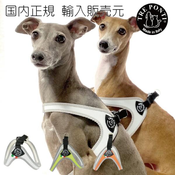 TRE PONTI トレポンティフィッビア フルオ3号 犬 いぬ イヌ DOG 首輪 ハーネス リー...