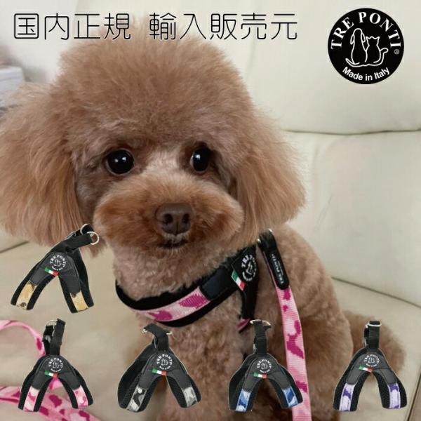 TRE PONTI トレポンティフィッビア ペニーコレクション1号 1.5号 犬 いぬ イヌ DOG...
