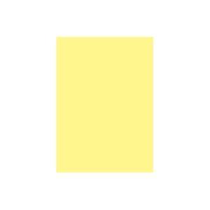 新作入荷 業務用30セット 大王製紙 再生色画用紙 工作用紙 ひよこ 八つ切り 100枚