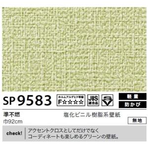 輝い 新しいエルメス 壁紙 のり無しタイプ サンゲツ Sp 95 無地 Sp 95 92cm巾 住宅設備 40m巻 無地 Ds ペットキャリーバッグ