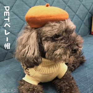 ペット用　ベレー帽　ブラウン　どんぐり　帽子　秋冬　被り物　アクセサリー　小物　犬　猫　ペット用品　ドッグウェア｜petstyle-rockn-rora