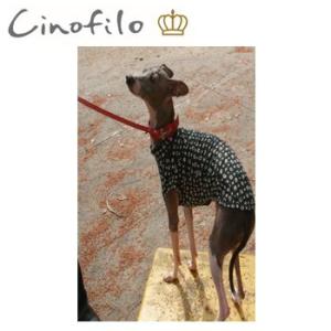 チノフィロ　ヌメ革リードS　細　フェラーリー