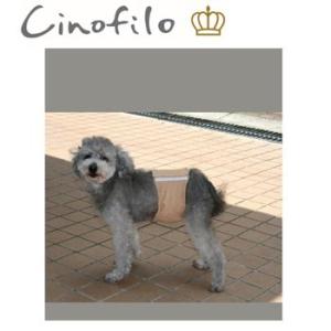 チノフィロ　マナーバンドオーガニックパイル　空気接媒　TioTio　S　ベージュ