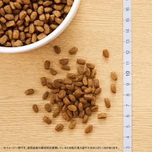 Supremo シュプレモ 超小型犬用 成犬用...の詳細画像1