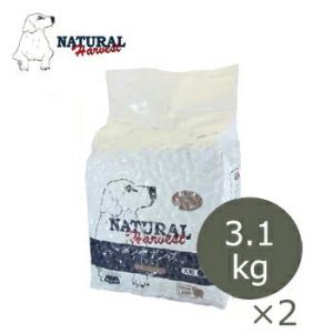 ナチュラルハーベスト　ベーシックフォーミュラ　メンテナンス　3.1kg×2袋セット　正規品