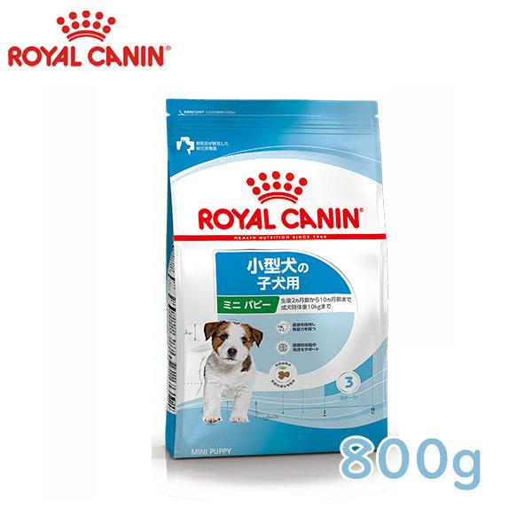 ロイヤルカナン（ROYALCANIN）ドッグフード　小型犬の子犬用　ミニパピー（10kgまでの小型犬...