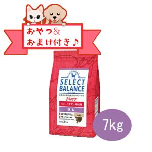 セレクトバランス　パピー　ラム　小粒 7kg　子犬・母犬用　正規品　おまけ対象商品