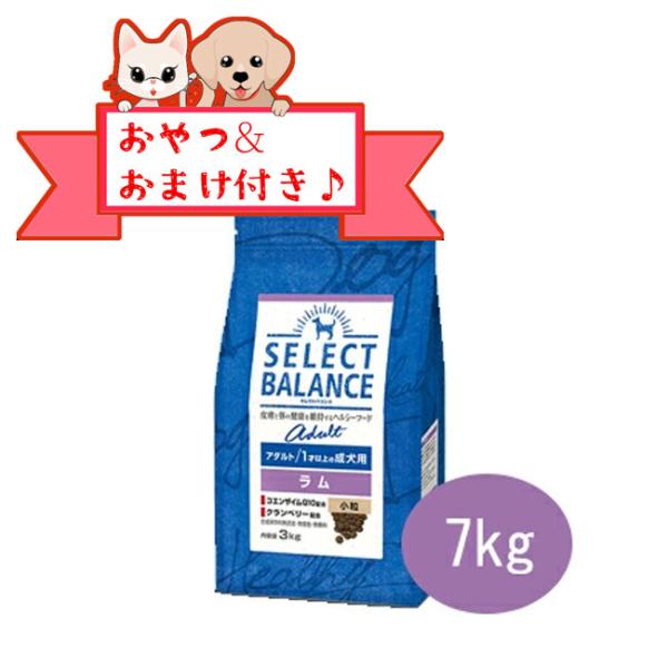 セレクトバランス　アダルト　ラム　小粒 7kg　1才以上の成犬用　正規品　おまけ対象商品